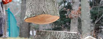 Best Firewood Processing and Delivery  in Yosemite Lakes, CA